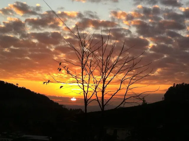 Sol entre nuvens atrás da silhueta de uma árvore