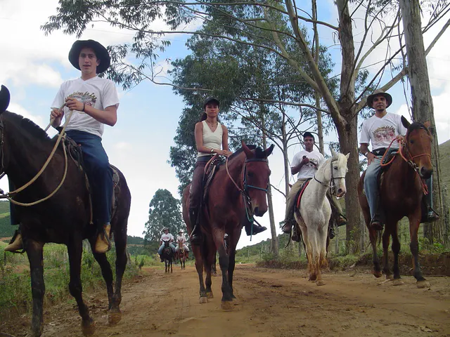 Grupo de cavaleiros reunido em uma estrada