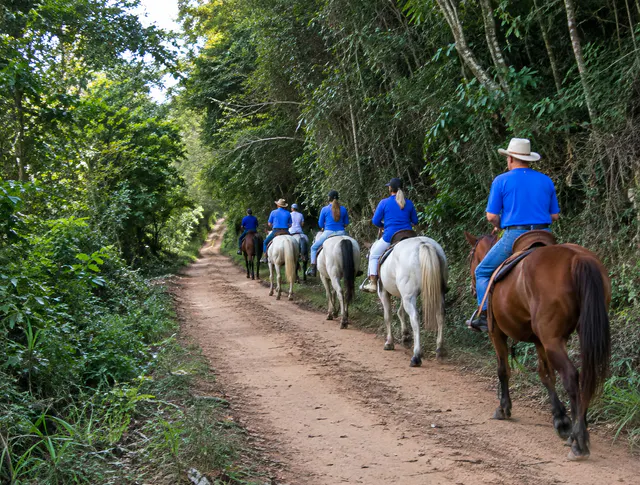 Registro fotográfico 49 do Caminho da Luz